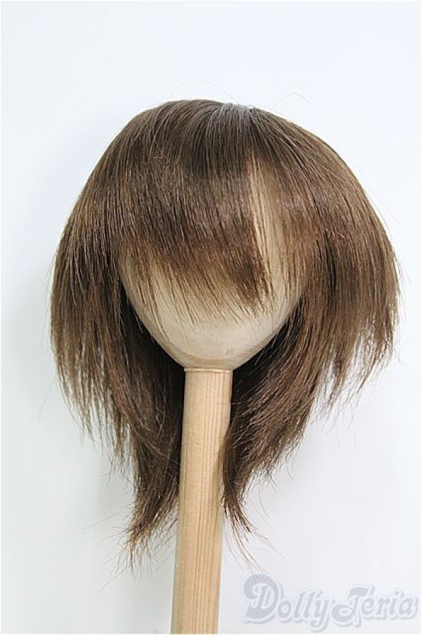 画像1: 【SALE】9〜10inch/ウィッグ I-24-12-29-3059-TO-ZI (1)
