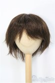 画像1: 9〜10inch/ウィッグ I-25-01-19-2027-TO-ZI (1)