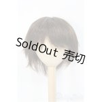 画像: 9〜10inch/ウィッグ I-25-01-19-2027-TO-ZI