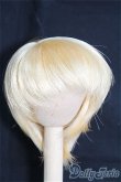 画像1: 【SALE】7〜8inch/ウィッグ I-24-12-29-2043-GN-ZI (1)