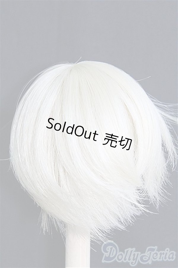 画像2: 【SALE】7〜8inch/ウィッグ I-24-12-29-2042-GN-ZI (2)