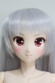 画像2: 【SALE】azone/1/3アイリスコネクト:レイラ/もふもふカフェヘようこそ♪(満月のオオカミメイドver.) I-24-05-05-1003-KN-ZI (2)