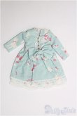 画像1: 【SALE】ネオブライス/OF ディーラー製ドレス I-24-12-29-3103-GN-ZI (1)