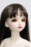 画像3: Myou Doll/Delia:文学少女 Literature Limited I-24-05-12-1013-KN-ZI (3)