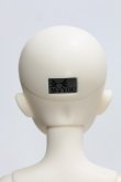 画像4: Myou Doll/Delia:文学少女 Literature Limited I-24-05-12-1013-KN-ZI (4)