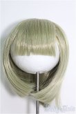 画像1: 10inch/ウィッグ I-25-01-12-3048-TO-ZI (1)