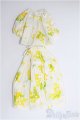 画像: 1/6(22~27cm)ドール/OF 小物セット I-25-01-12-3164-TO-ZI