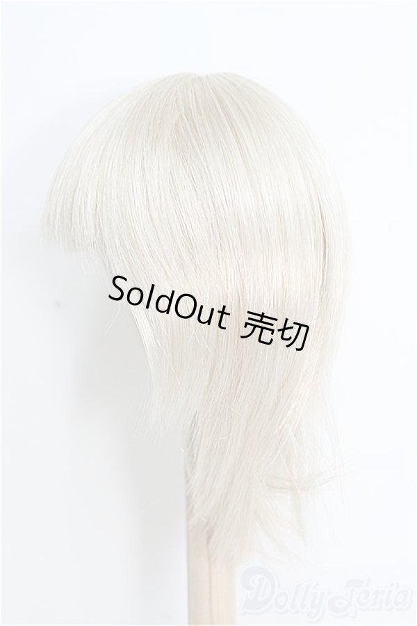 画像2: 9〜10inch/ウィッグ/ I-25-08-10-308-TO-ZI (2)