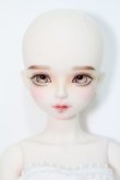 Myou Doll/Delia：文学少女 Literature Limited I-24-05-19-1007