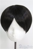画像1: 8〜9inch/ウィッグ I-25-01-05-2042-TO-ZI (1)