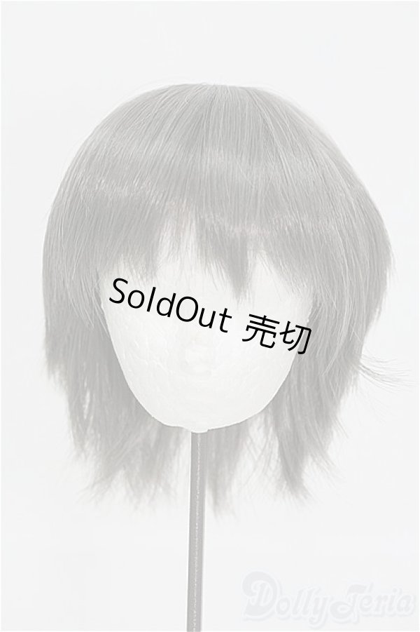 画像1: 8〜9inch/ウィッグ/ I-25-08-17-128-TO-ZI (1)