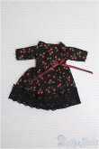 画像1: ネオブライス/OF:ディーラー製衣装 I-25-01-05-2121-KN-ZI (1)