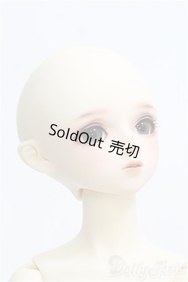 り*ご様 ソルオル　ホーム　希少　初期モデル ソルオルといえばこのデザイン！元祖ホワイトX-PACのLサイズ