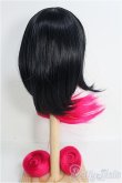 画像2: 【SALE】8-9inch/ウィッグ48-DD-F1-F14 I-25-01-12-2043-TO-ZI (2)