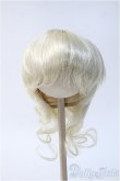 画像1: 12〜13inch/ウィッグ Y-25-01-22-202-TO-ZY (1)
