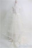 画像2: SD/OF SILVER FLUGEL様製衣装セット I-25-01-12-2076-TO-ZI (2)
