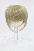 画像1: 4inch/ウィッグ I-26-06-25-350-TO-ZI (1)