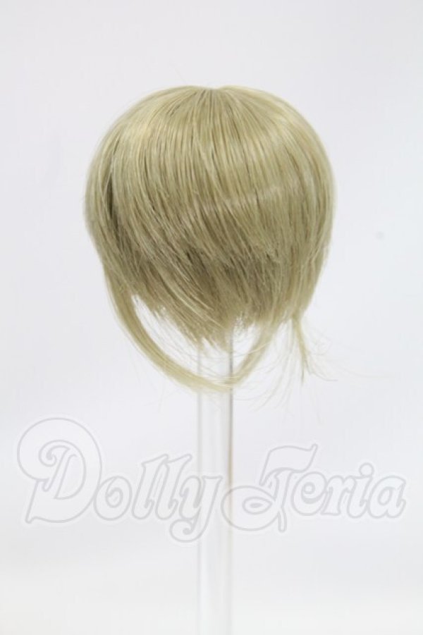 画像2: 4inch/ウィッグ I-26-06-25-350-TO-ZI (2)