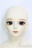 画像1: 【SALE】BJD CROBI/R-line ZION I-24-06-16-1012-TO-ZI (1)