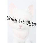 画像: 【SALE】BLACKBOX/天狐ーSAKURA MOCHIー I-24-12-29-1010-TO-ZI