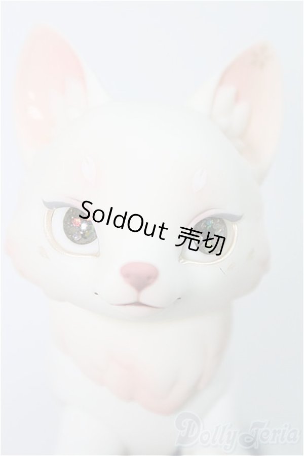 画像1: 【SALE】BLACKBOX/天狐ーSAKURA MOCHIー I-24-12-29-1010-TO-ZI (1)