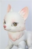 画像2: 【SALE】BLACKBOX/天狐ーSAKURA MOCHIー I-24-12-29-1010-TO-ZI (2)