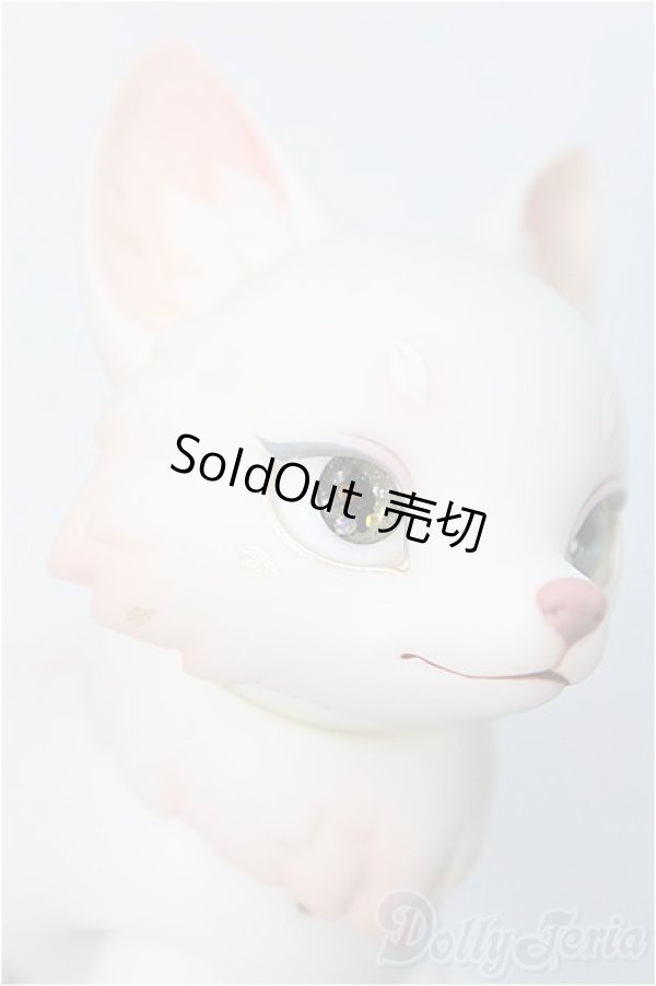 画像3: 【SALE】BLACKBOX/天狐ーSAKURA MOCHIー I-24-12-29-1010-TO-ZI (3)