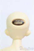 画像4: MSD/コーディネートモデル F-18ヘッド+SDMGIRLボディ I-24-06-09-1002-TO-ZI (4)