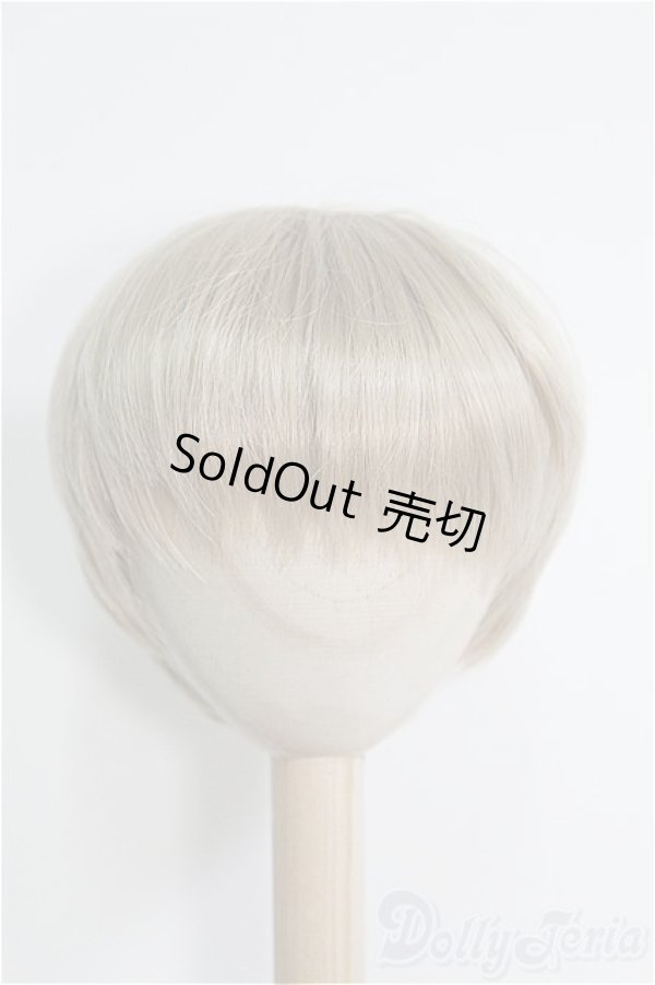 画像1: 8〜9inch/ウィッグ I-25-01-26-2044-TO-ZI (1)