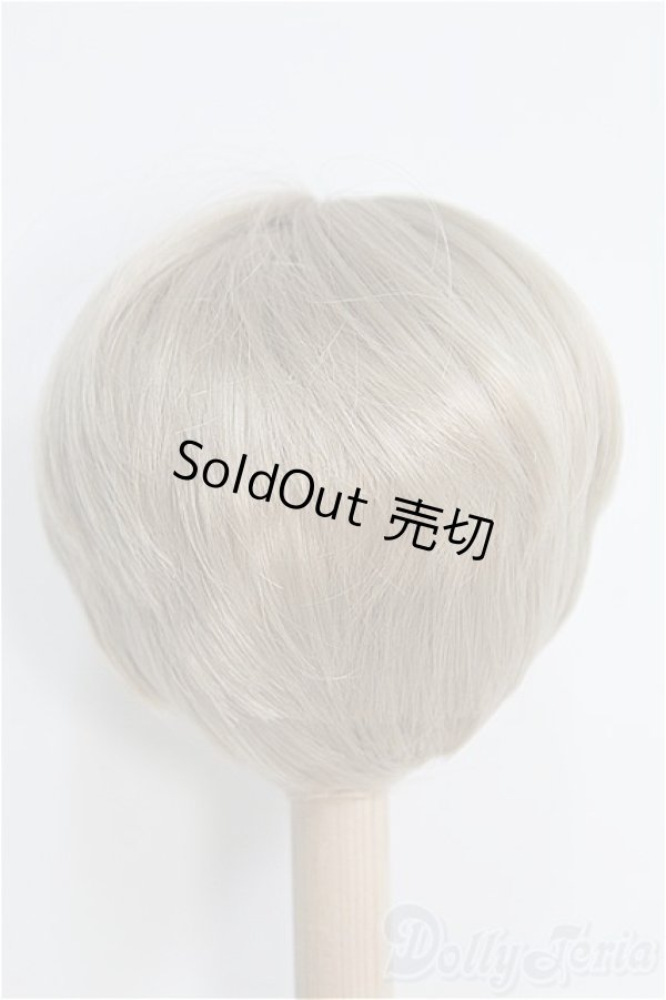画像3: 8〜9inch/ウィッグ I-25-01-26-2044-TO-ZI (3)