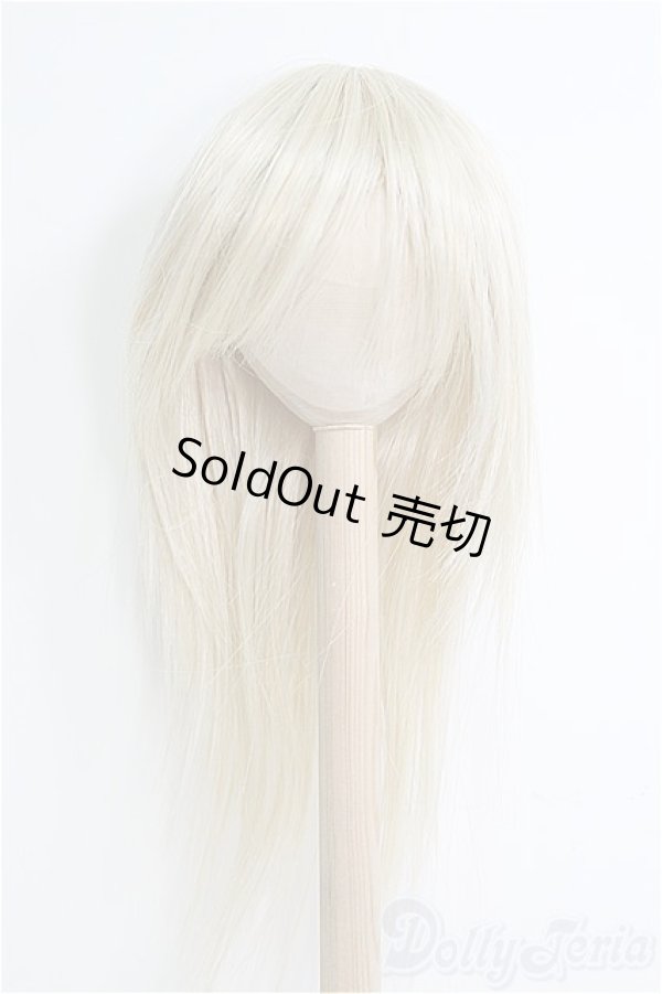 画像1: 【SALE】9〜10inch/ウィッグ I-25-01-26-2054-TO-ZI (1)