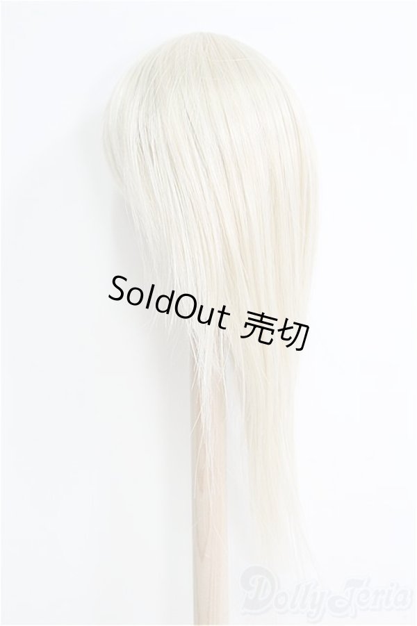 画像2: 【SALE】9〜10inch/ウィッグ I-25-01-26-2054-TO-ZI (2)