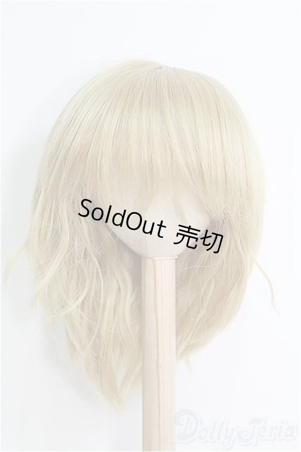 画像1: 9〜10inch/ウィッグ I-25-01-26-2055-TO-ZI (1)