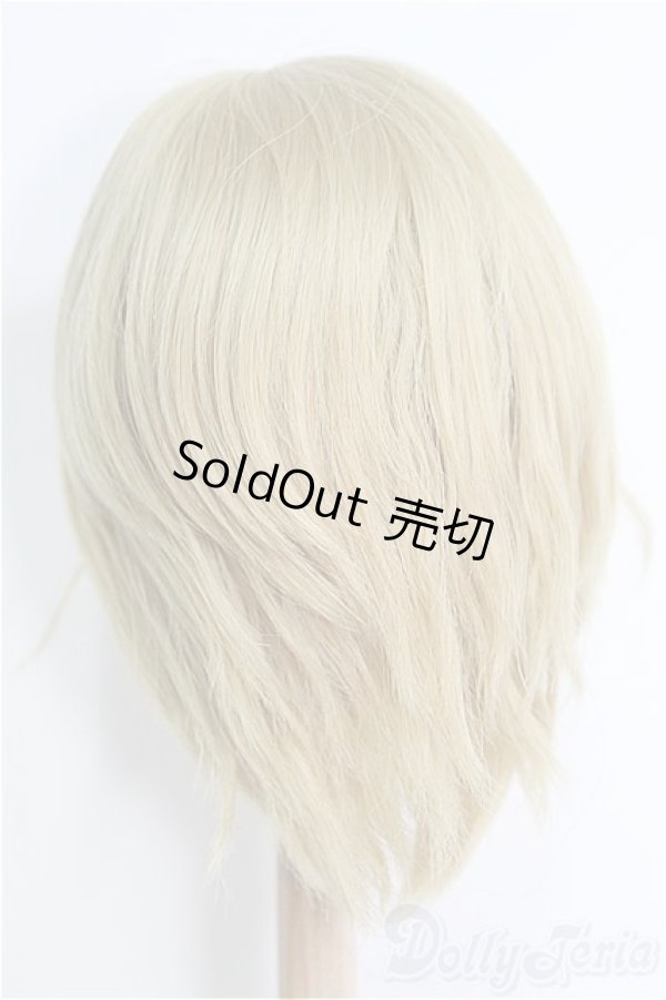 画像3: 9〜10inch/ウィッグ I-25-01-26-2055-TO-ZI (3)