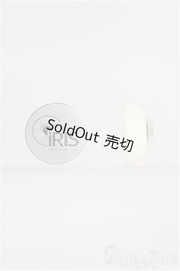 画像2: レジンアイ/15mm I-25-03-09-3007-TO-ZI (2)