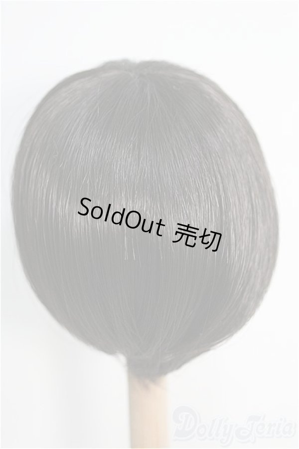 画像2: 8〜9inch/ウィッグ I-25-02-02-2034-TO-ZI (2)