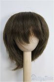 画像1: 7〜8inch/ウィッグ I-25-01-26-2035-TO-ZI (1)