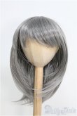 画像1: 8〜9inch/ウィッグ I-25-01-26-3042-TO-ZI (1)