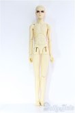 画像5: 【SALE】SD17BOY/光源氏 I-24-06-30-1018-TO-ZI (5)