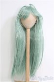 画像1: 8〜9inch/ウィッグ I-25-01-26-2045-TO-ZI (1)