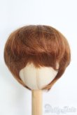 画像1: 9〜10inch/ウィッグ I-25-04-20-3029-TO-ZI (1)