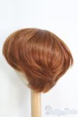 画像2: 9〜10inch/ウィッグ I-25-04-20-3029-TO-ZI (2)