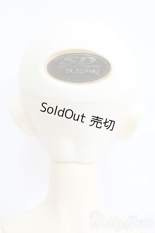 画像6: SD13GIRL/フルチョイス:F-42 I-26-02-22-300-TO-ZI (6)