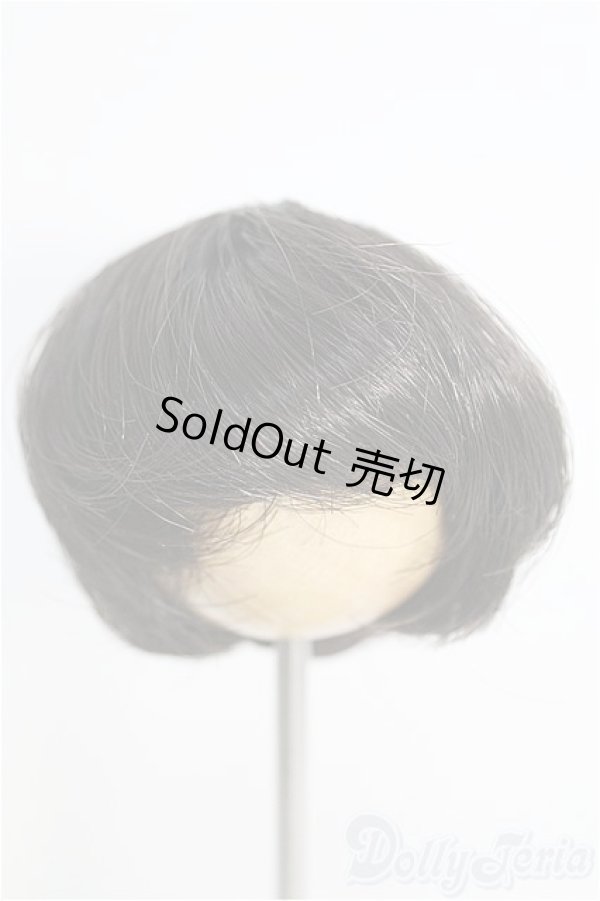 画像1: 6〜7inch/ウィッグ I-25-02-09-2014-TO-ZI (1)