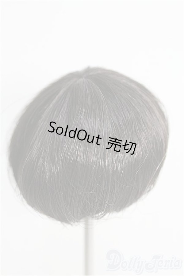 画像2: 6〜7inch/ウィッグ I-25-02-09-2014-TO-ZI (2)