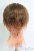 画像2: 9〜10inch/ウィッグ I-25-02-23-2028-TO-ZI (2)