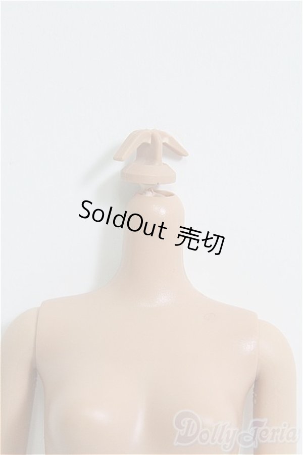 画像3: バービー/ボディのみ I-25-05-11-1081-TO-ZI (3)