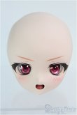 画像1: 【SALE】DD/DDH-01カスタムヘッド I-24-07-14-1033-TO-ZI (1)