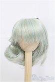 画像1: 7〜8inch/ウィッグ I-25-03-02-3018-TO-ZI (1)