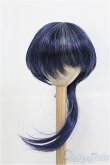 画像1: 9〜10inch/ウィッグ I-25-03-02-3030-TO-ZI (1)